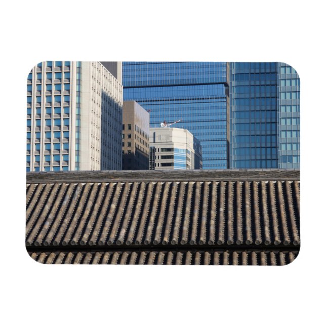Tokyo, Japan Magnet (Horizontal)