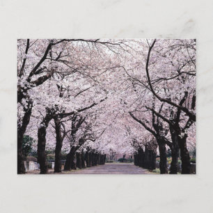 TOKYO POSTCARD