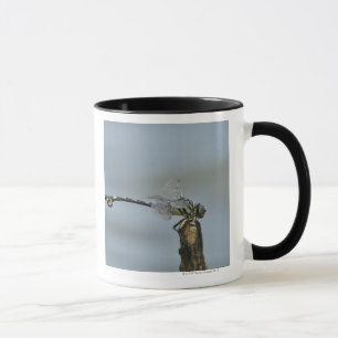 Tokyo Prefecture, Honshu, Japan 2 Mug