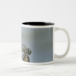 Tokyo Prefecture, Honshu, Japan 2 Two-Tone Coffee Mug