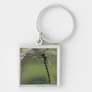 Tokyo Prefecture, Honshu, Japan Key Ring