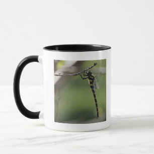 Tokyo Prefecture, Honshu, Japan Mug