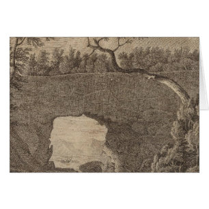 Tolaga Bay Perforated Rock