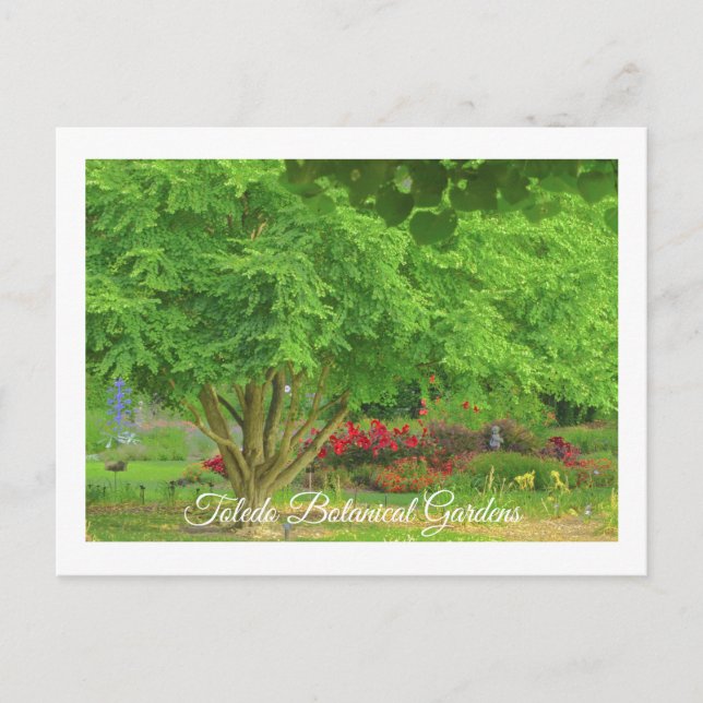 TOLEDO BOTANICAL GARDEN, TOLEDO, OHIO USA POSTCARD (Front)