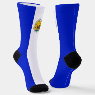 Toledo (Ohio) city flag Socks