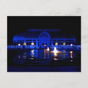 Toledo Zoo Lights (Conservatory) Postcard