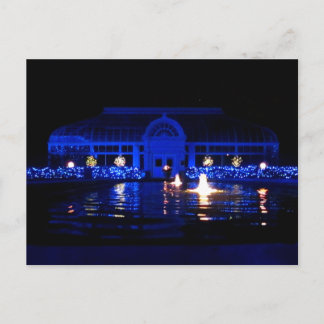 Toledo Zoo Lights (Conservatory) Postcard