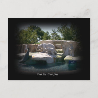 Toledo Zoo Polar Bear Statue Postcard