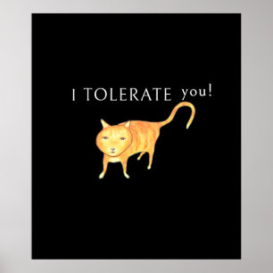 Tolerant Apathetic Orange Cat Poster