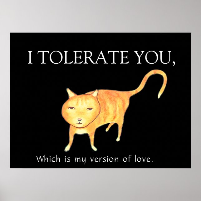 Tolerant Cat Poster (Front)