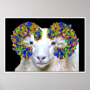 Toll-like Ram Poster
