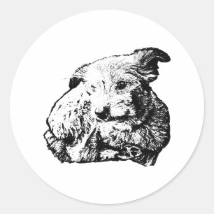 Toller Mix Lying Dog Black And White Sticker