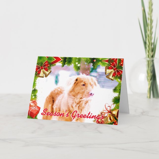 Toller retriever in the snow Christmas card (Front)