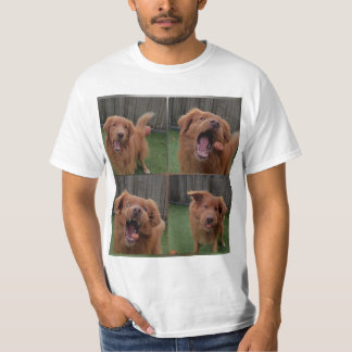 toller shirt capturing candy