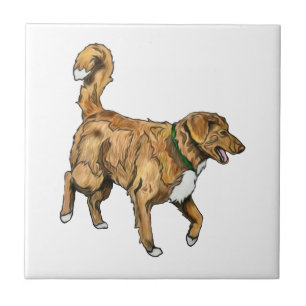 Toller Tile
