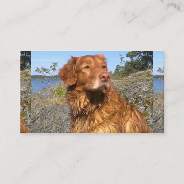 toller wet business card (Front)