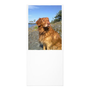 toller wet rack card