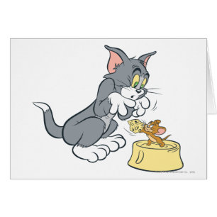 Tom and Jerry Feed The Cat