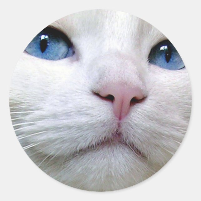 Tom Sticker (Front)