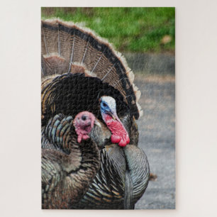 Tom the Turkey and his hen 1000 piece puzzle game