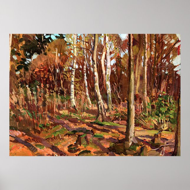 Tom Thomson - View of Algonquin Park Poster (Front)