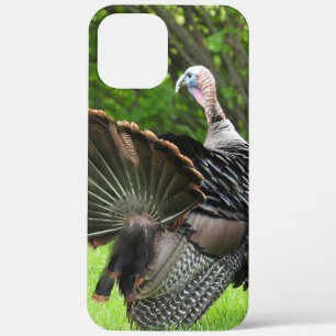 Tom Turkey Feather Display  iPhone 12 Pro Max Case