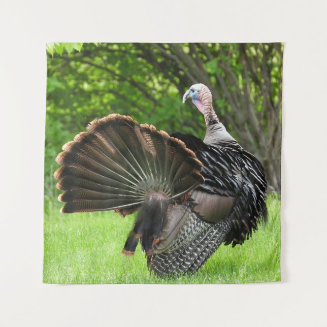 Tom Turkey Feather Display Tapestry (Front)