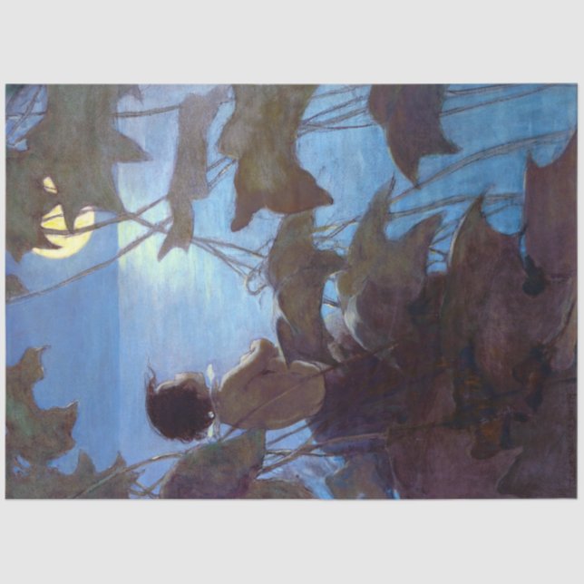 Tom Watching the Moon, Jessie Willcox Smith Tissue Paper (Front)