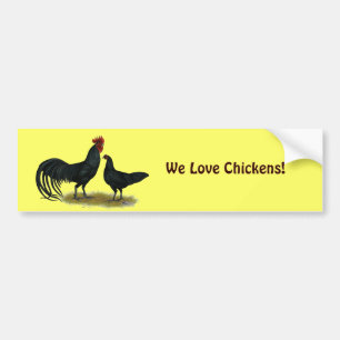 Tomaru Long Crower Chickens Bumper Sticker