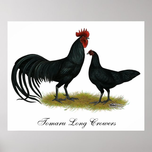Tomaru Long Crower Chickens Poster (Front)