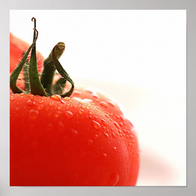 Tomato Close Up Poster (Front)