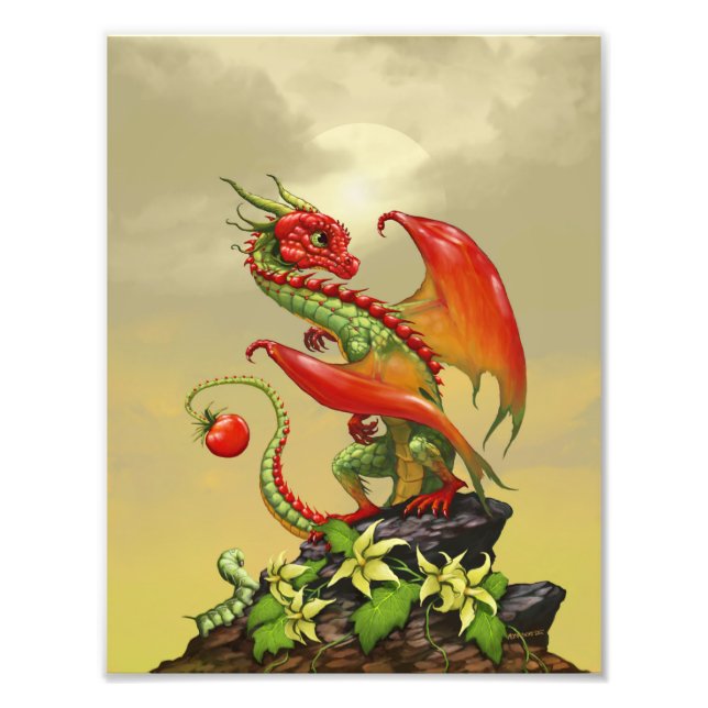 Tomato Dragon 8.5x11 Print (Front)