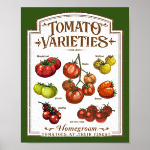 Tomato Gardener, Vegetable Tomatoes Gardening Poster