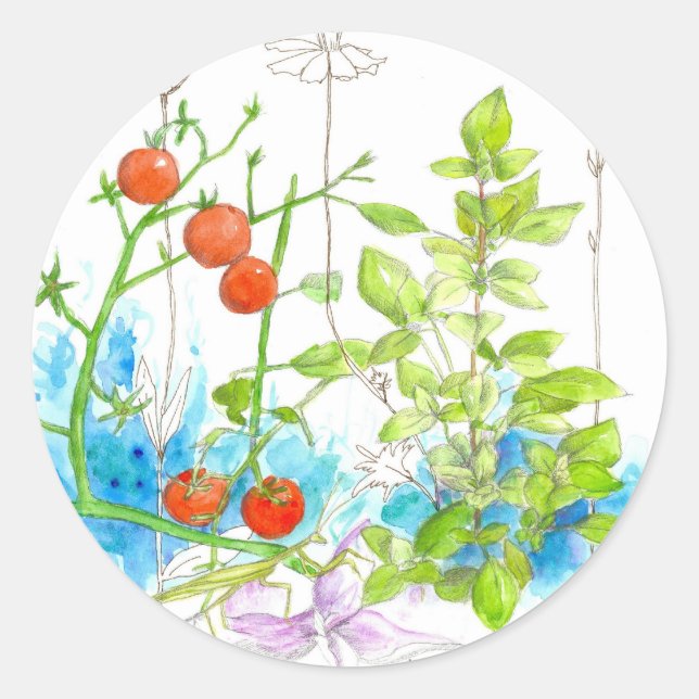 Tomato Herb Garden Vegetables Watercolor Classic Round Sticker (Front)
