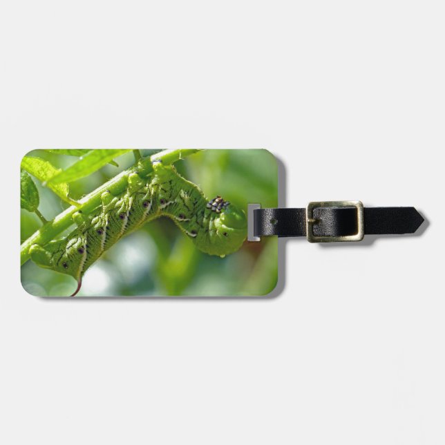 Tomato Hornworm Luggage Tag (Front Horizontal)