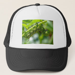 Tomato Hornworm Trucker Hat