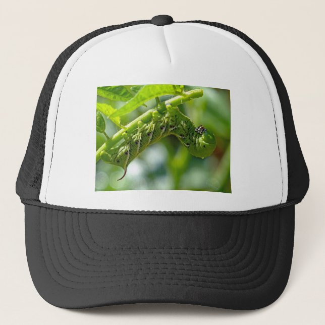 Tomato Hornworm Trucker Hat (Front)