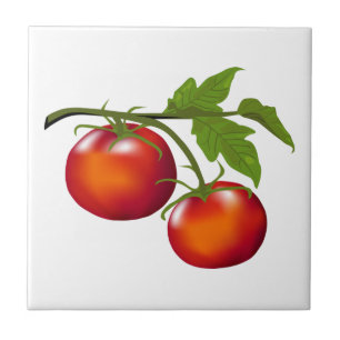 Tomato Kitchen Ceramic Tile