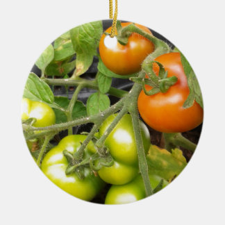 Tomato Plant Ceramic Tree Decoration