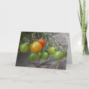 Tomato Plant Congratulations Card