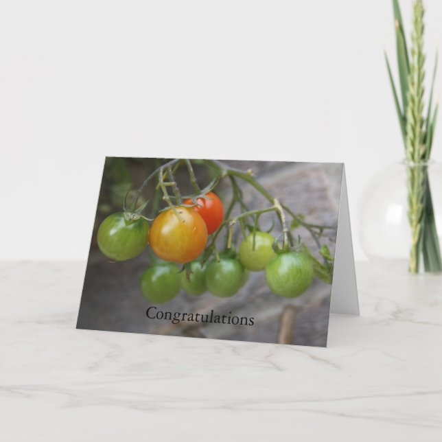 Tomato Plant  Congratulations Card (Front)