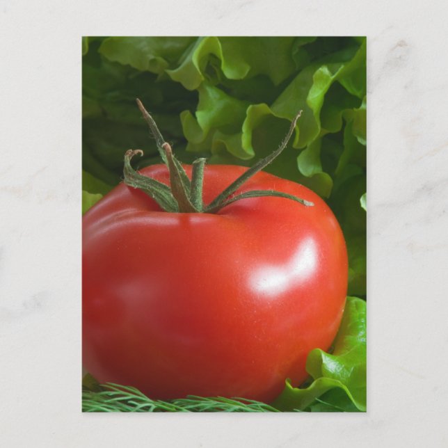 Tomato Postcard (Front)