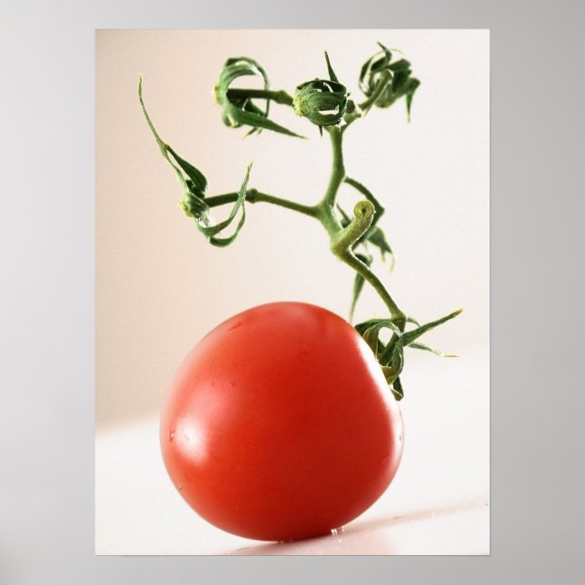 Tomato Poster (Front)