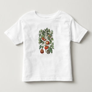 Tomatoes and Melons: 1.Poma amoris fructu luteo; 2 Toddler T-Shirt
