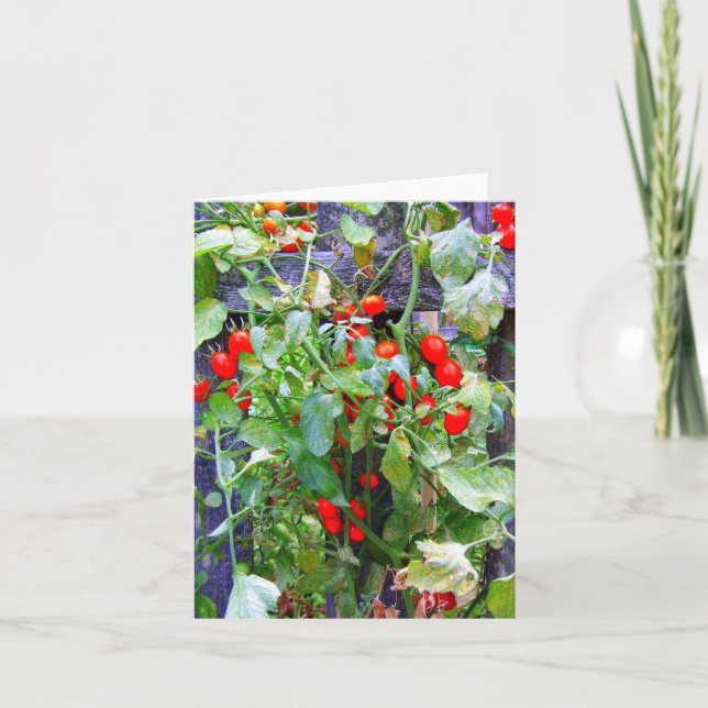 Tomatoes Card (Front)