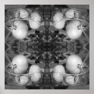 Tomatoes In Black And White Abstract Poster