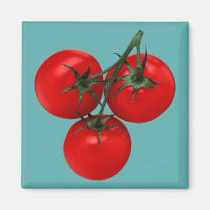 Tomatoes Magnet