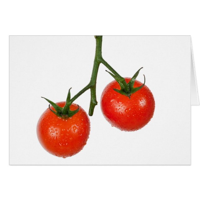 Tomatoes on a vine (Front Horizontal)