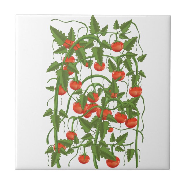 Tomatoes Pattern Ceramic Tile (Front)
