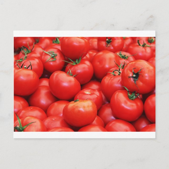 Tomatoes Postcard (Front)